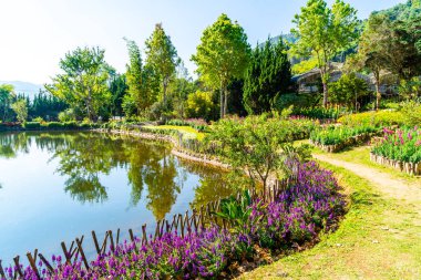 Royal tarım istasyonu - Doi Inthanon güzel Bahçe