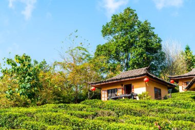 Rak Thai, Mae Hong Son, Tayland Çinli bir yerleşim yasağı.
