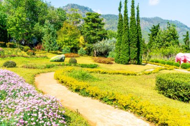 güzel Bahçe park dağ Chiang Mai, Tayland