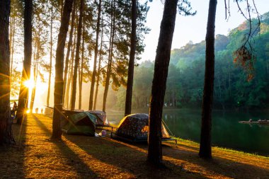 Pang oung göl ve orman sunrise Mae Hong Son, inci ile çam