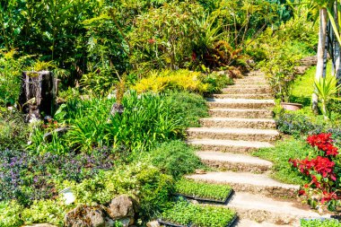 merdiven basamağı bahçede