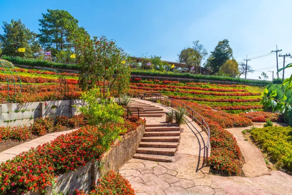 Beau jardin à la station agricole royale - Doi Inthanon in — Photo