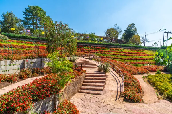 Piękny ogród w Royal Agricultural Station - Doi Inthanon w — Zdjęcie stockowe