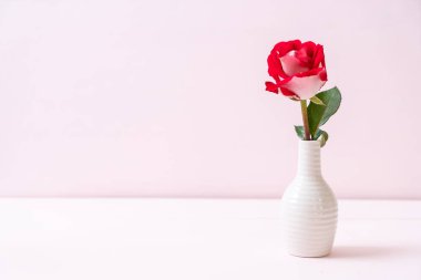 Tahtadaki kırmızı gül 