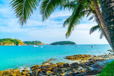 Güzel tropikal plaj ve deniz parad Hindistan cevizi hurma ağacı ile