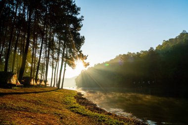 Pang oung göl ve orman sunrise Mae Hong Son, inci ile çam