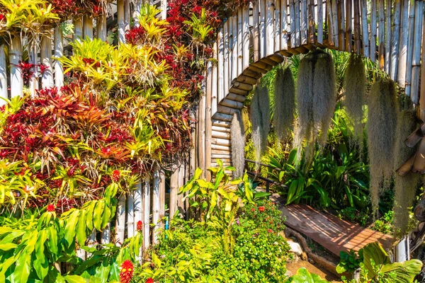 Piękny ogród w Royal Agricultural Station - Doi Inthanon w — Zdjęcie stockowe