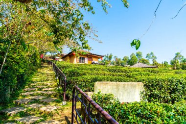Rak Thai, Mae Hong Son, Tayland Çinli bir yerleşim yasağı.