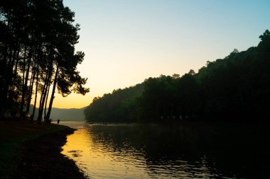 Pang oung göl ve orman sunrise Mae Hong Son, inci ile çam