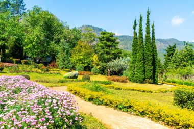 güzel Bahçe park dağ Chiang Mai, Tayland