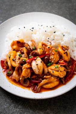 tavada kızartılmış ahtapot veya kalamar ve Korece baharatlı (osam bulgogi yapıştırmak