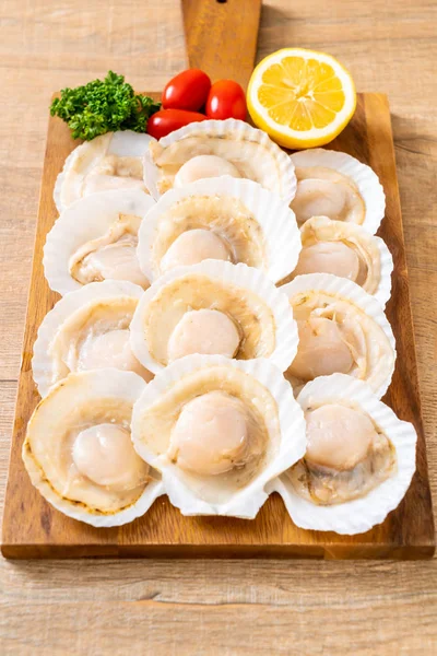 Fresh shell scallop — Stock Photo, Image