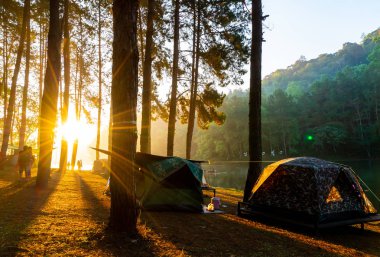 Pang oung göl ve orman sunrise Mae Hong Son, inci ile çam