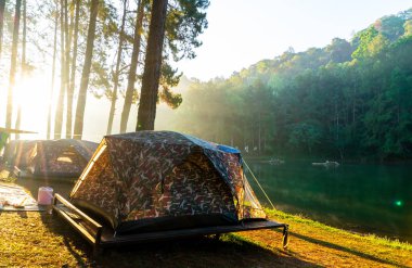 Pang oung göl ve orman sunrise Mae Hong Son, inci ile çam