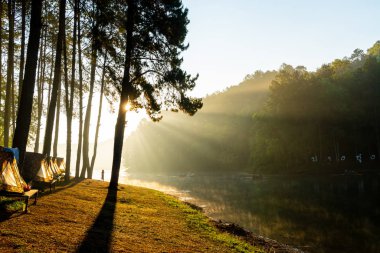 Pang oung göl ve orman sunrise Mae Hong Son, inci ile çam