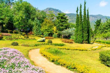 güzel Bahçe park dağ Chiang Mai, Tayland