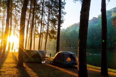 Pang oung göl ve orman sunrise Mae Hong Son, inci ile çam