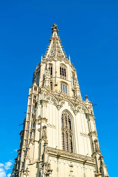 Berner Münster székesegyház, Svájc — Stock Fotó