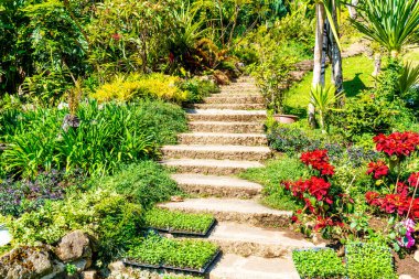 merdiven basamağı bahçede