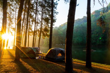 Pang oung göl ve orman sunrise Mae Hong Son, inci ile çam