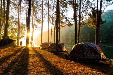 Pang oung göl ve orman sunrise Mae Hong Son, inci ile çam