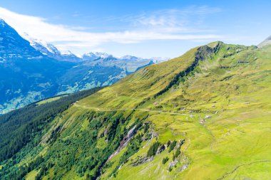 Güzel Alps dağ Grindelwald, İsviçre 