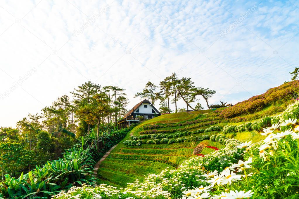 Beautiful sunrise sky with garden on mountain at Huai Nam Dang N