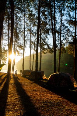 Pang oung göl ve orman sunrise Mae Hong Son, inci ile çam