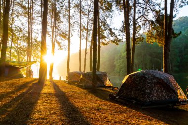 Pang oung göl ve orman sunrise Mae Hong Son, inci ile çam