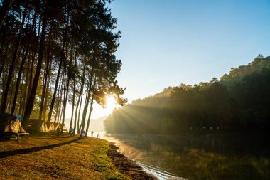 Pang oung göl ve orman sunrise Mae Hong Son, inci ile çam