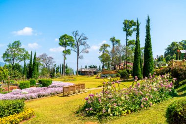 güzel Bahçe park dağ Chiang Mai, Tayland