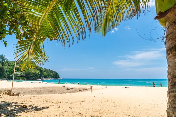 Belle plage tropicale et mer avec cocotier en parad — Photo