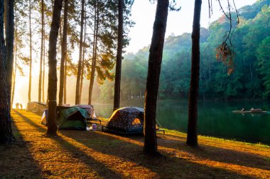 Pang oung göl ve orman sunrise Mae Hong Son, inci ile çam