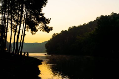 Pang oung göl ve orman sunrise Mae Hong Son, inci ile çam