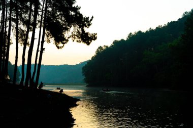 Pang oung göl ve orman sunrise Mae Hong Son, inci ile çam