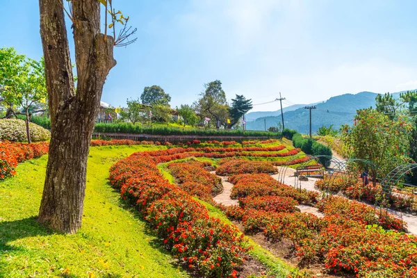 Beautiful Garden at Royal Agricultural Station - Doi Inthanon in — Stock Photo, Image