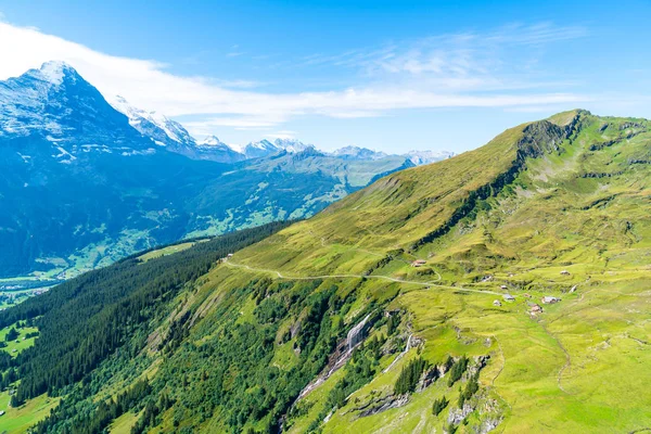 Güzel Alps dağ Grindelwald, İsviçre 