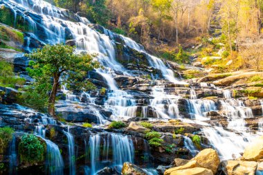 Chiang Mai, Tayland Mae Ya şelale