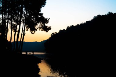 Pang oung göl ve orman sunrise Mae Hong Son, inci ile çam