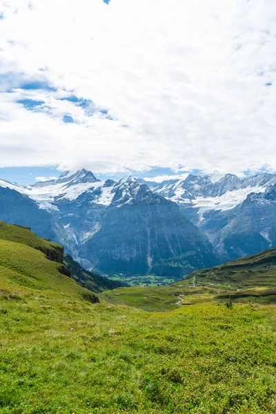 Montanha dos belos Alpes em Grindelwald, Suíça — Fotografia de Stock