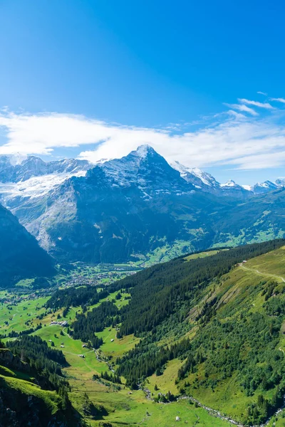 Satul Grindelwald cu Muntele Alpi în Elveția — Fotografie, imagine de stoc