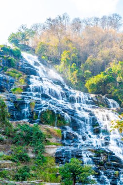 Chiang Mai, Tayland Mae Ya şelale