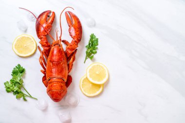 buz ve limon ile kırmızı ıstakoz