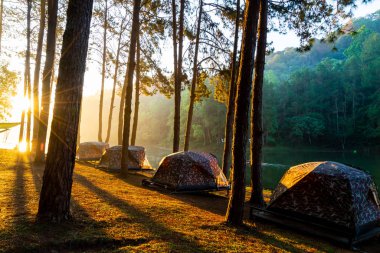 Pang oung göl ve orman sunrise Mae Hong Son, inci ile çam
