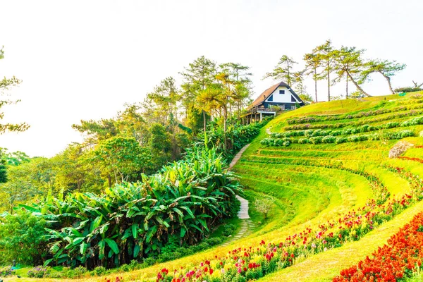 Belo céu do nascer do sol com jardim na montanha em Huai Nam Dang N — Fotografia de Stock