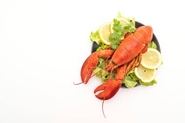 taze Haşlanmış istakoz sebze ve limon ile