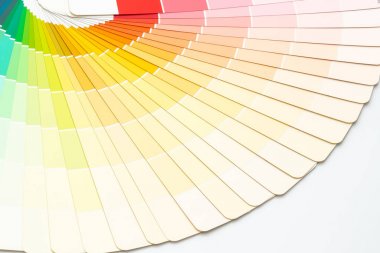 örnek renkler pantone Kataloğu