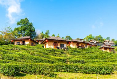 Rak Thai, Mae Hong Son, Tayland Çinli bir yerleşim yasağı.