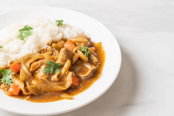 Arroz de curry japonés con cerdo en rodajas, zanahoria y cebolla — Foto de Stock