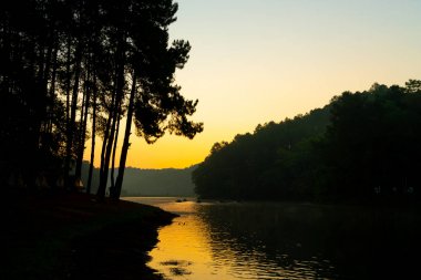 Pang oung göl ve orman sunrise Mae Hong Son, inci ile çam